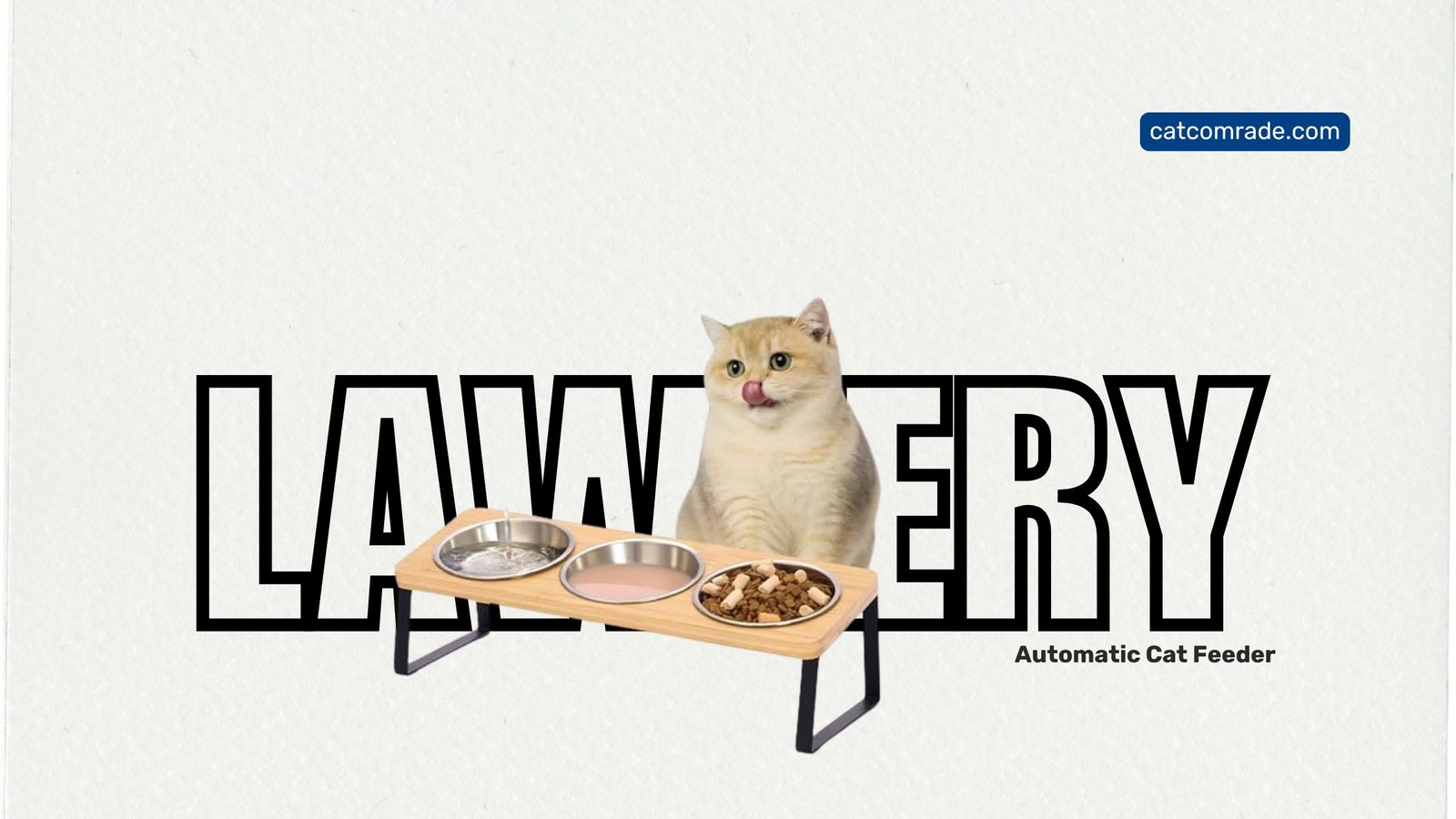 Lawfery Elevated Cat Bowls