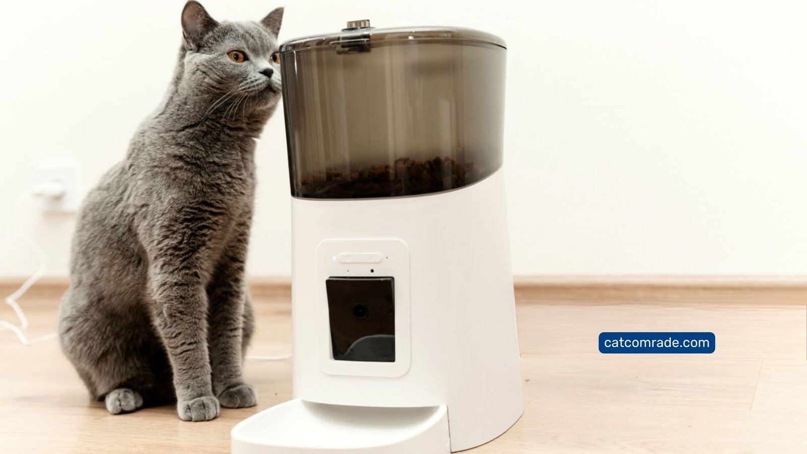 Petco Automatic Cat Feeder: Top Features for Hassle-Free Feeding