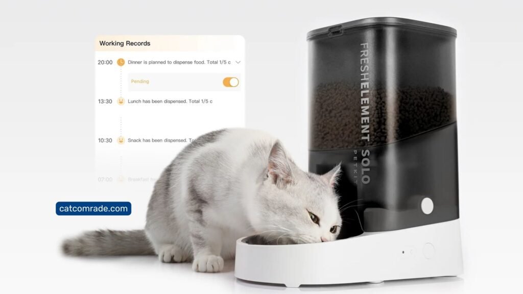 Petkit Auto Feeder Review Smart Convenient Pet Feeding