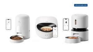 Petlibro Automatic Cat Feeder How Much is a Portion: Precise Feeding Tips