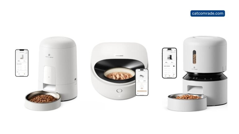 Petlibro Automatic Cat Feeder How Much is a Portion: Precise Feeding Tips