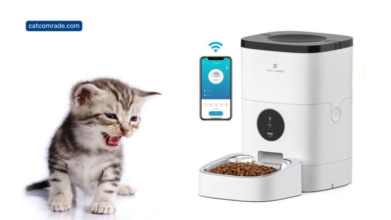 Petlibro Automatic Cat Feeder Not Turning on_ Quick Fixes
