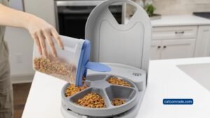 Petsafe 5 Meal Feeder_ Convenient Automatic Feeding for Multiple Pets