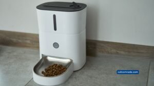 Pros And Cons of Automatic Cat Feeder_ Must-Know Insights!