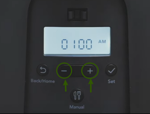 Petlibro Automatic Cat Feeder Not Turning on: Quick Fixes Revealed