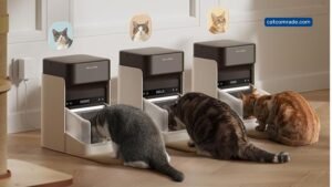 Rfid Feeders for Cats: Personalized, Stress-Free Automatic Meal Solutions