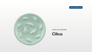 Slow Feeder Bowl for Cats and Small Dogs: Cilkus Fish Pool Design Review