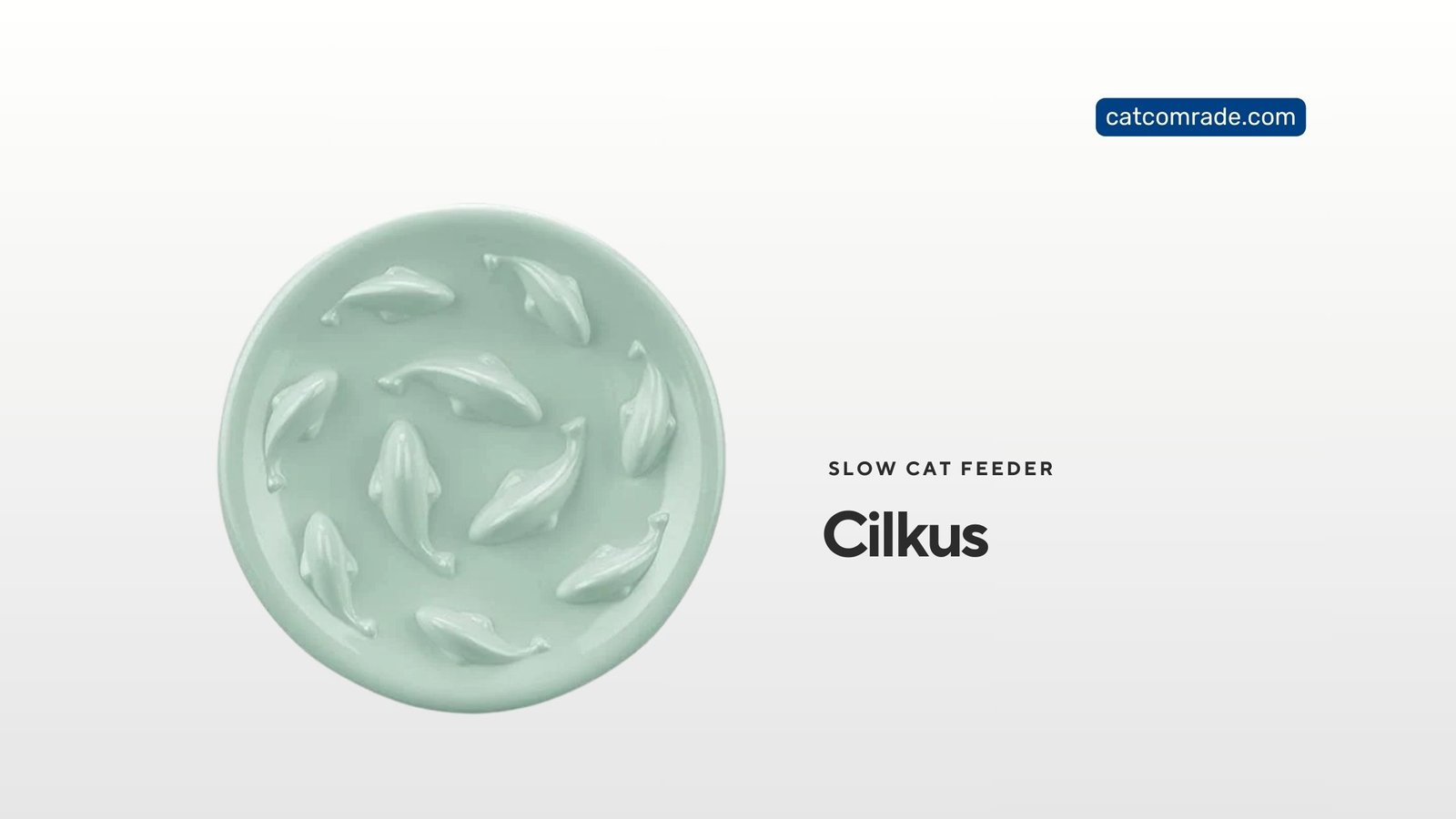 Slow Feeder Bowl for Cats and Small Dogs: Cilkus Fish Pool Design Review