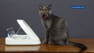Sure Feed Cat Feeder: Stress-Free, Smart Feeding Solution for Cats