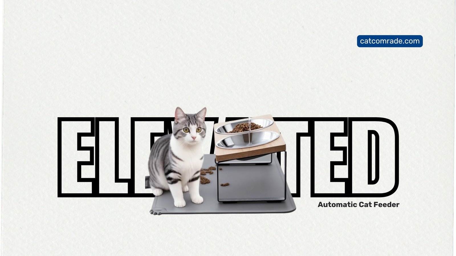 Upgraded Elevated Cat Bowls with Food Mat