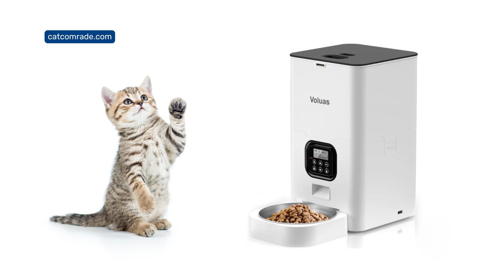 Voluas Automatic Pet Feeder Stopped Working_ Quick Fixes & Tips