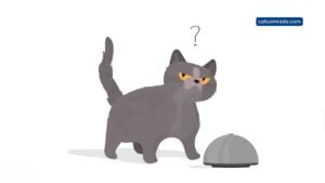 Why is My Automatic Cat Feeder Beeping: Causes & Fixes