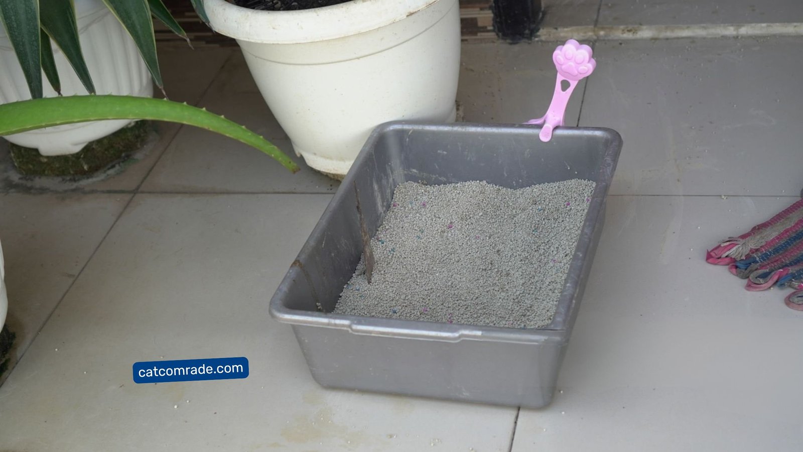 Can I Use Vinegar to Clean Cat Litter Box