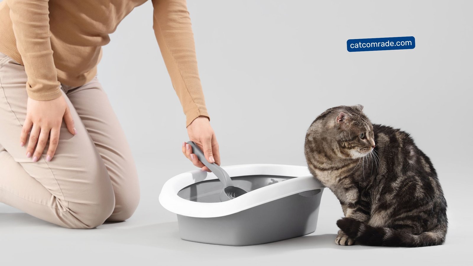 Can You Clean Cat Litter Box While Breastfeeding