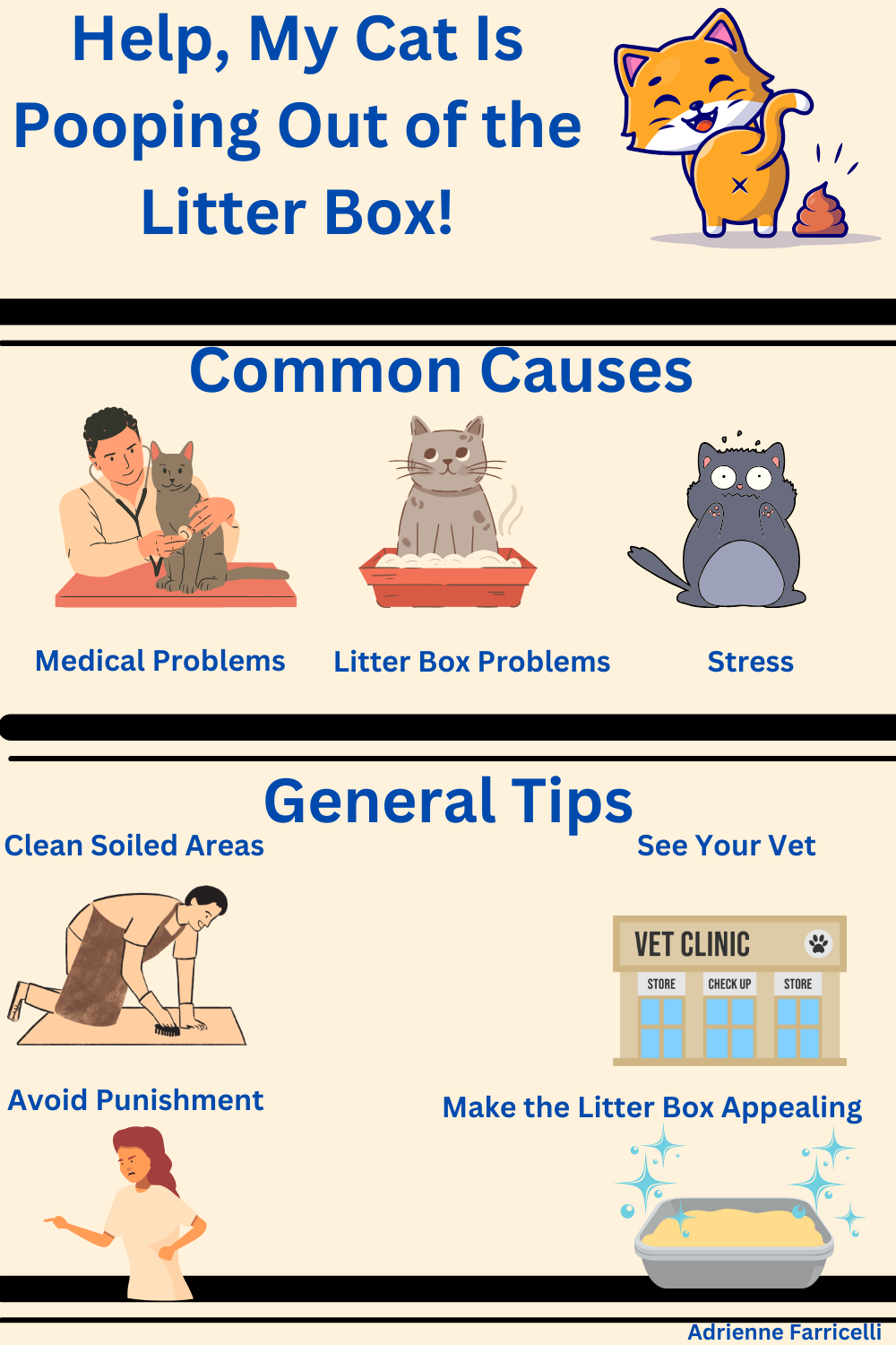 Why is My Cat Pooping Outside the Litter Box: Top Causes Revealed