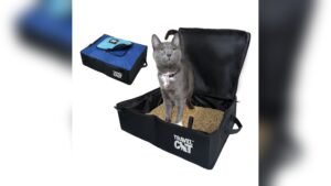 How Do You Travel With a Cat Litter Box: Ultimate Travel Tips