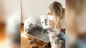 How Much Cat Litter in Box: Expert Tips for Perfect Amounts
