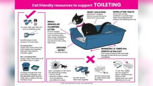 How Often Does a Cat Use the Litter Box: Expert Insights Revealed