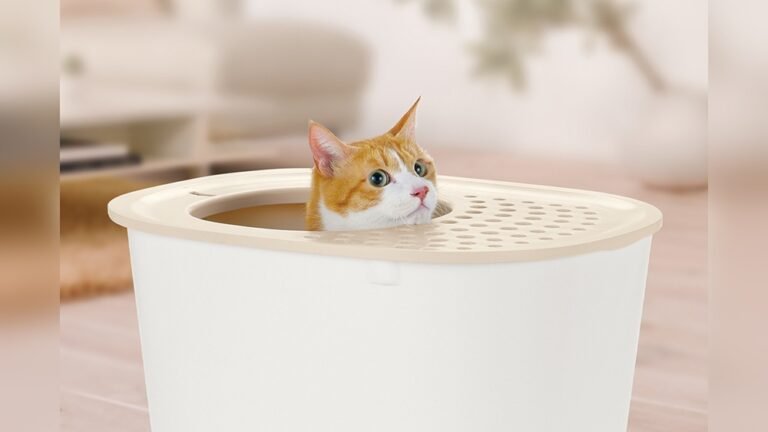 How to Keep Cat from Kicking Litter Out of Box: Easy Tips That Work