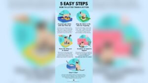 How to Potty Train a Cat to Use Litter Box: Easy Step-by-Step Guide