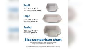 What Size Litter Box for Cat: Ultimate Guide for Perfect Fit