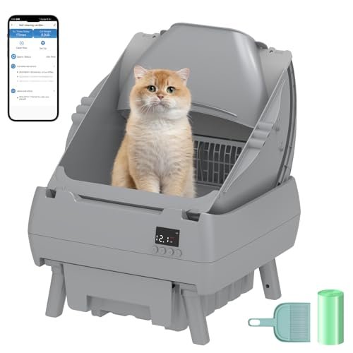Automatic Cat Litter Box Self Cleaning - APP Control, Open-Style Design, Smart Health Monitor, Suitable for Medium Cats and Kittens, Safe Anti-Pinch, Quiet, A Lifelong Companion - Grey