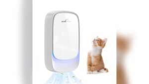 Best Air Purifier for Cat Litter Box Smell: Top Odor Eliminators Reviewed