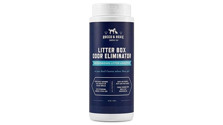 Best Anti Odor Cat Litter Box Solutions for Fresh and Clean Homes