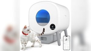 Best Budget Automatic Cat Litter Box for Hassle-Free Pet Care