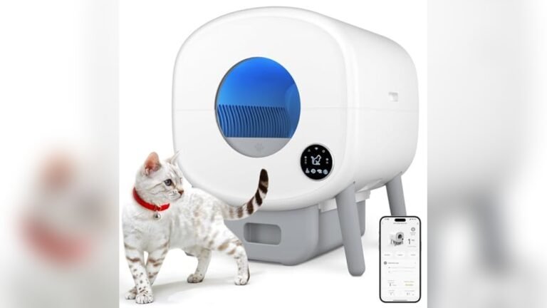 Best Multi Cat Self Cleaning Litter Box for Hassle-Free Pet Care