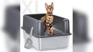 Best Rated Cat Litter Box: Top Durable and Odor-Free Choices for Big Cats