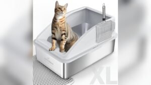 Best Stainless Steel Cat Litter Box for Large Cats: Durable and Odor-Free