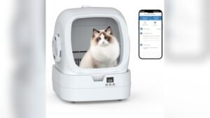 What is the Best Self Cleaning Cat Litter Box for Multiple Cats