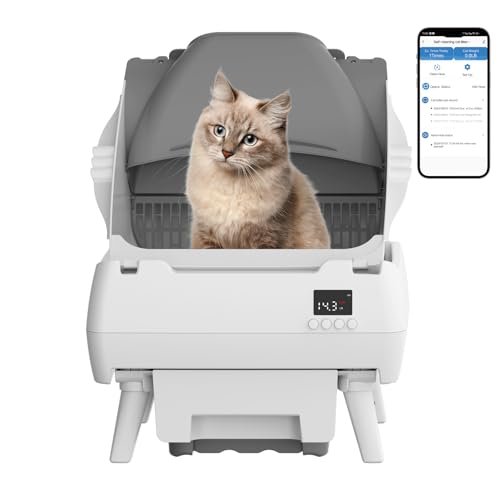 Automatic Cat Litter Box Self Cleaning - App Control, Open-Design, Smart Health Monitor, Suitable for Medium Cats and Kittens, Anti-Pinch Safety, Quiet Operation, A Trusted Companion for Life - White