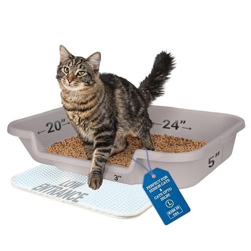 KittyGoHere - Lettiera per gatti anziani, 1 confezione, grande lettiera per gatti con ingresso basso, colore grigio nebbioso, dimensioni per il comfort dei gatti, perfetta per gatti anziani e
