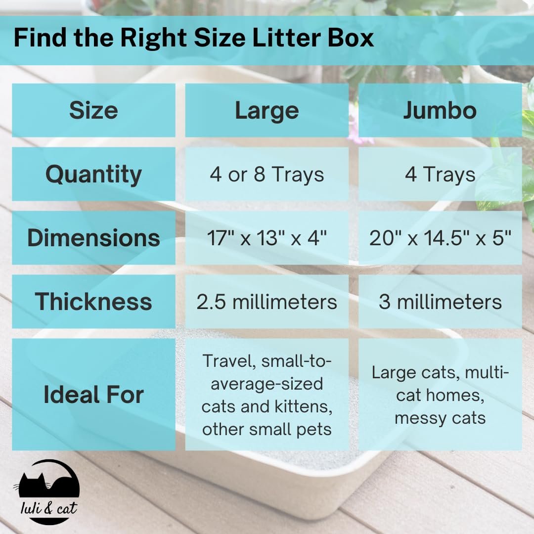 What Size Litter Box for Cat: Ultimate Guide for Perfect Fit