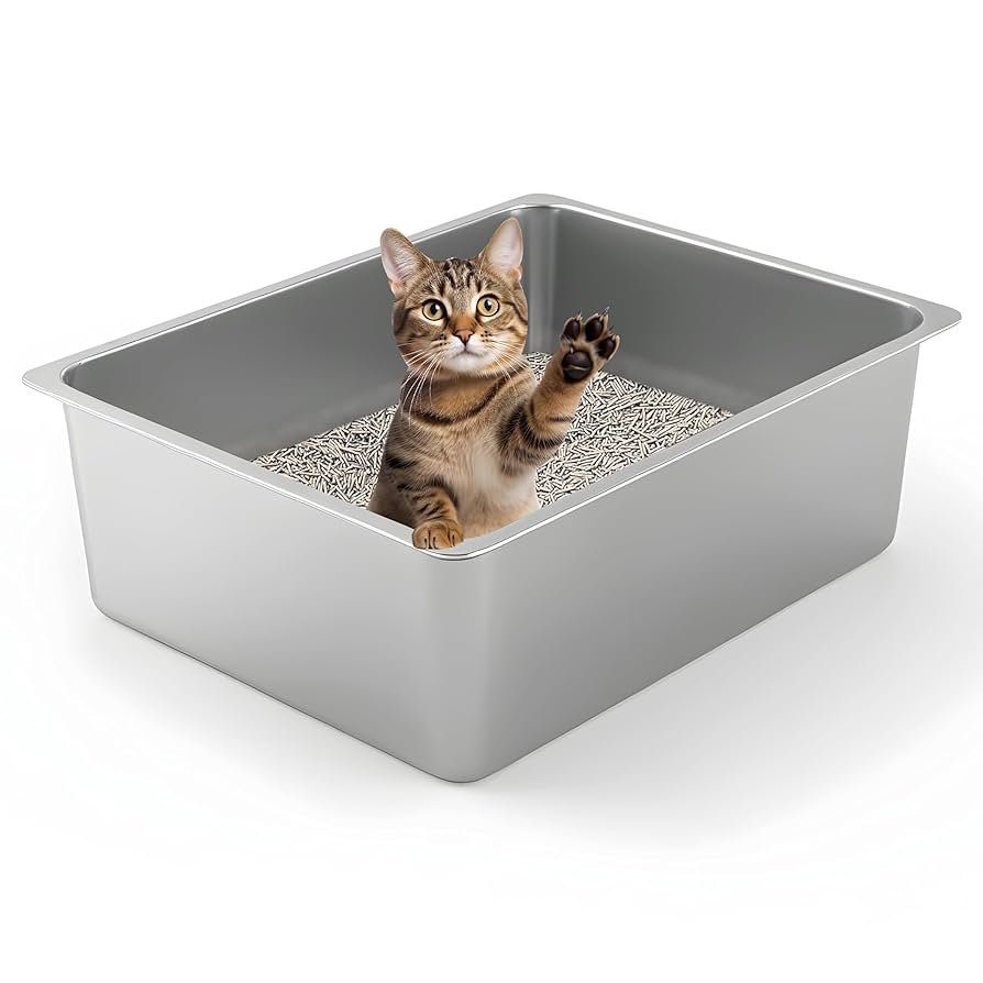 How Far Away Can a Cat Smell Its Litter Box? Surprising Facts Revealed!