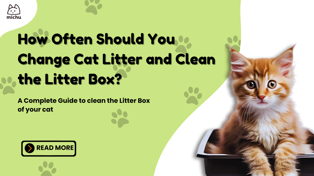How Often to Completely Clean Cat Litter Box: Ultimate Guide