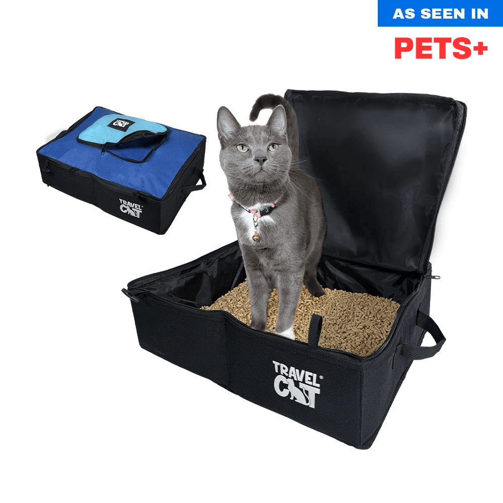 How Do You Travel With a Cat Litter Box: Ultimate Travel Tips
