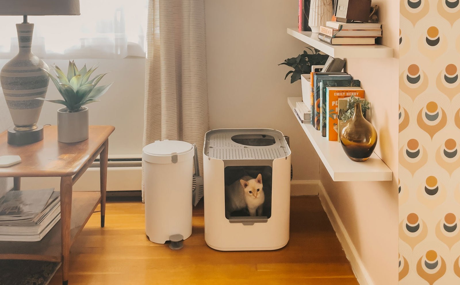 Where to Place Cat Litter Box: Ultimate Spots for Happy Cats