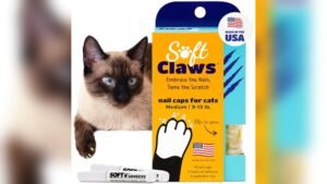 Soft Claws Cat Nail Caps Review: Protect Furniture & Skin