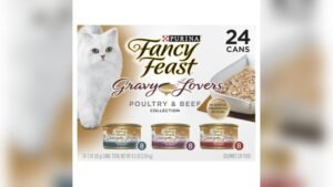 Purina Fancy Feast Gravy Lovers: Top Wet Cat Food Review