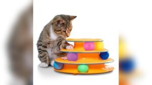 Catstages Tower of Tracks Cat Toy Review: Fun Indoor Play