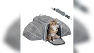 Petsfit Expandable Small Cat & Dog Carrier Review: Best Travel Option
