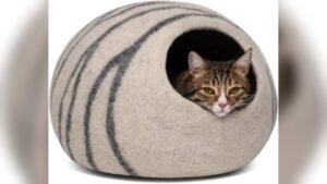 MEOWFIA Cat Cave Review: Cozy Felt Bed for Indoor Cats
