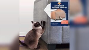 6 Pack XL Anti Cat Scratch Furniture Protector Review & Guide