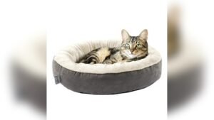 Love’s Cabin Round Donut Cat & Dog Bed Review: Cozy & Durable