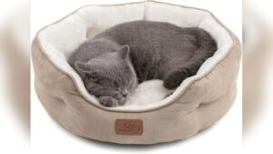 Bedsure Dog Beds for Small Dogs Review: Cozy & Washable 20 Camel