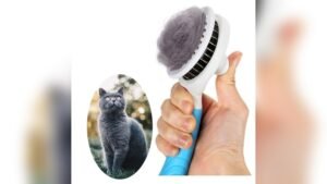 Self Cleaning Slicker Brush Review: Best Cat & Pet Grooming Tool