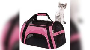 MuchL Cat Carrier Review: Lightweight, Comfortable & Airline Approved